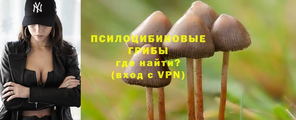 2c-b Бронницы