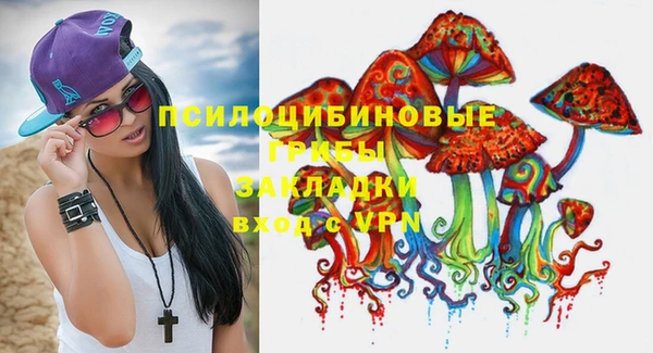 2c-b Бронницы