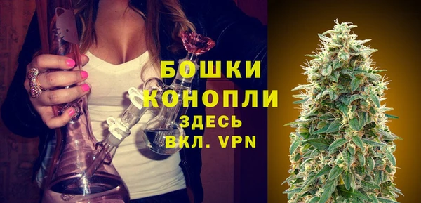 экстази Бородино