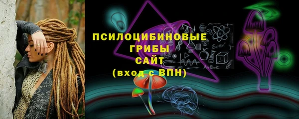 гашик Бугульма