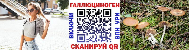 Псилоцибиновые грибы Magic Shrooms  Купить где  Малая Вишера 